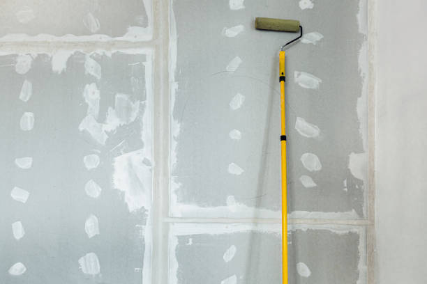 Best Residential Mold Inspection & Testing  in Chickamau, GA