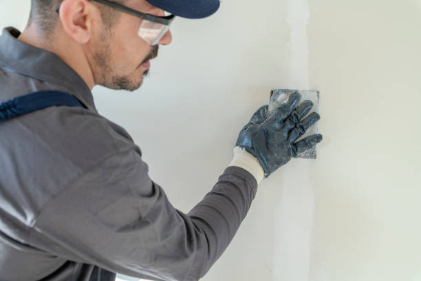 Best Crawl Space Mold Remediation  in Chickamau, GA