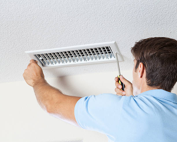 Best Mold Remediation for Healthcare Facilities  in Chickamau, GA